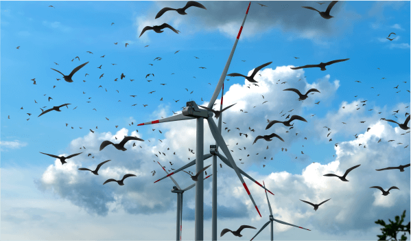AI Monitoring for Wind Turbines_2